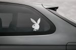 PLAYBOY zuikis