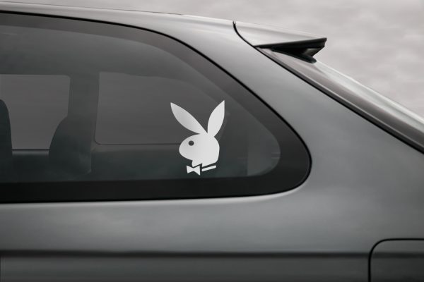 PLAYBOY zuikis