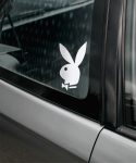 PLAYBOY zuikis