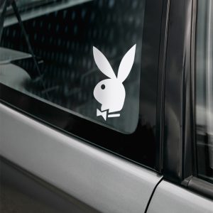 PLAYBOY zuikis