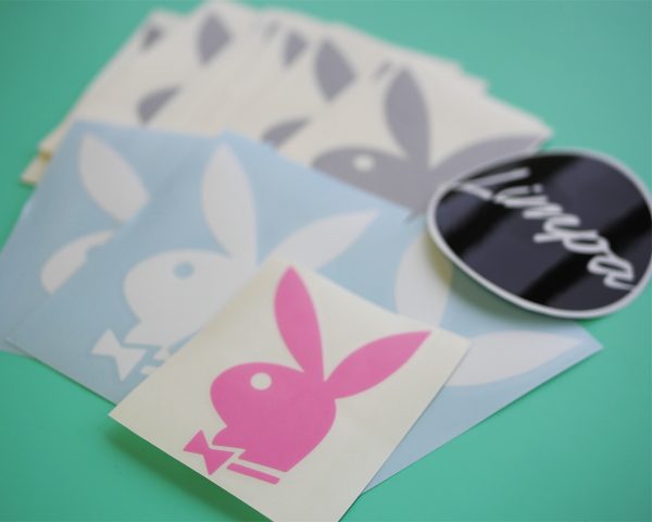 PLAYBOY zuikis