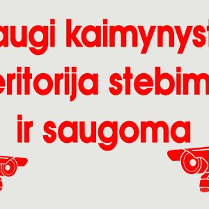 Saugi kaimynystė
