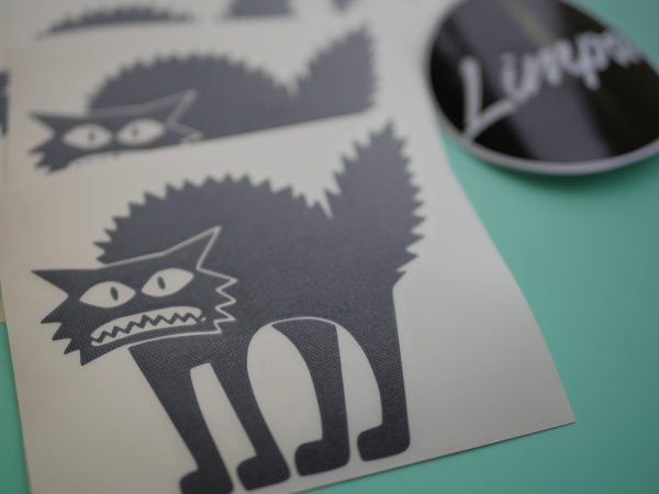 Išsigandęs kačiukas